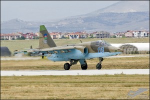 D7T_4239